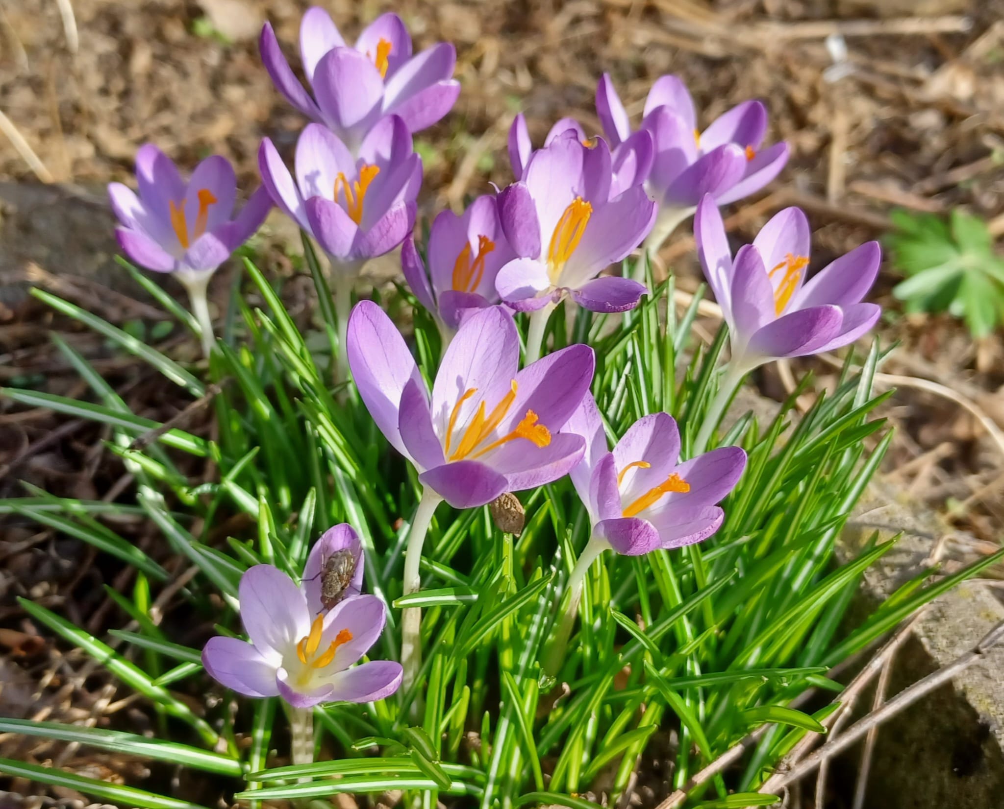 Winterlandschaft - Klare Sicht